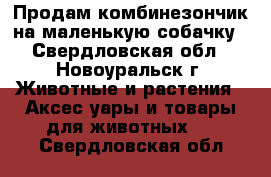 Продам комбинезончик на маленькую собачку - Свердловская обл., Новоуральск г. Животные и растения » Аксесcуары и товары для животных   . Свердловская обл.